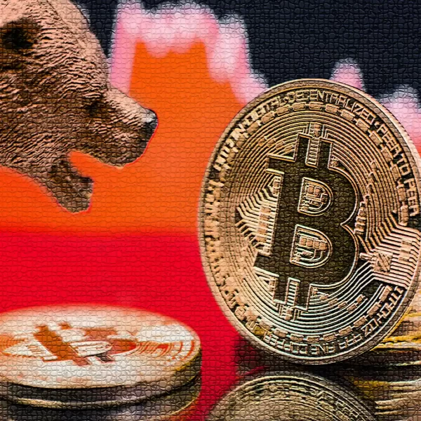 Digital currency bear market