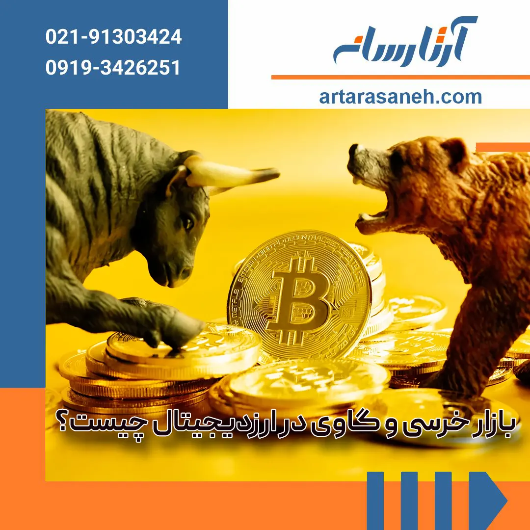 Bear and bull market in digital currency